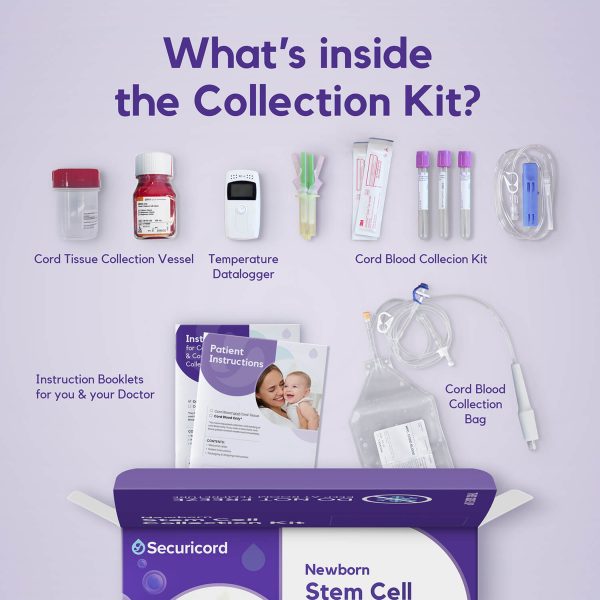 Securicord Cord Blood Banking (Copy)