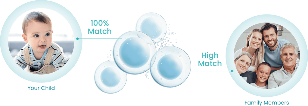 Stem Cells Overview